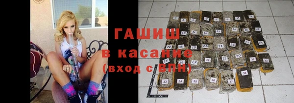 мдпв Бородино