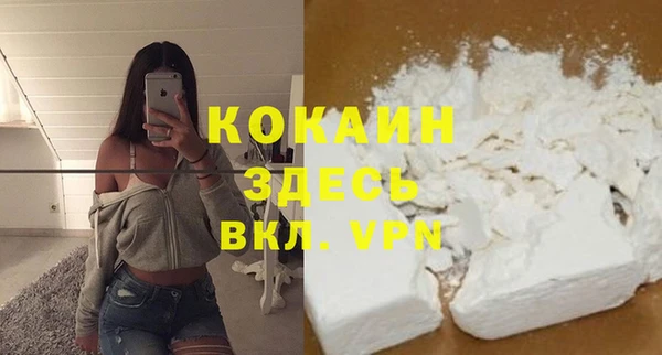 крисы Бронницы