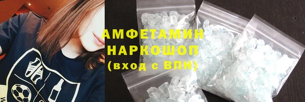 мдпв Бородино