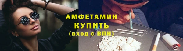мдпв Бородино