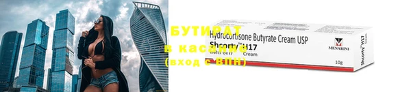 мдпв Бородино