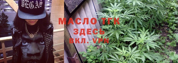 мдпв Бородино