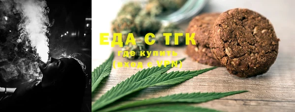 мдпв Бородино